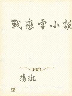 战恋雪小说封面