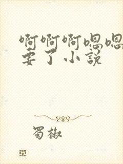 啊啊啊嗯嗯嗯不要了小说