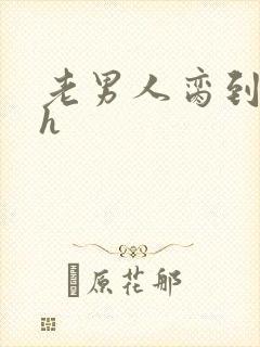 老男人脔到她哭h封面