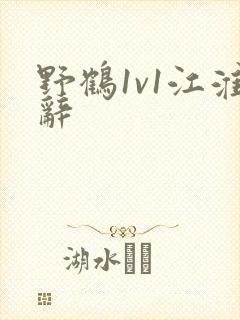 野鹤1v1江淮辞封面