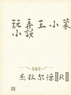 玩弄王小蒙系列小说封面