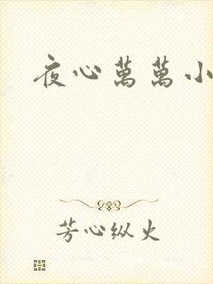 夜心万万小说
