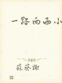 一路向西小说