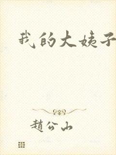 我的大姨子封面