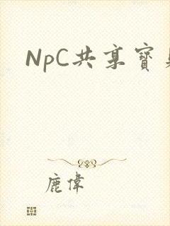 NpC共享宝贝封面