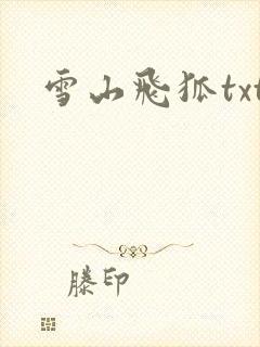 雪山飞狐txt