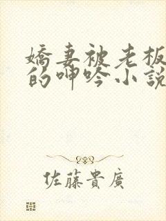 娇妻被老板蹂躏的呻吟小说