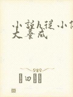 小说h从小做到大养成