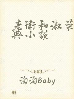 老卫和淑荣的经典小说