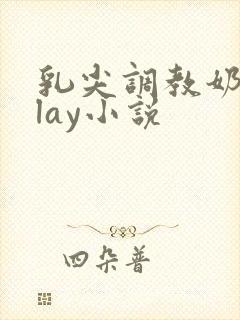 乳尖调教奶头play小说