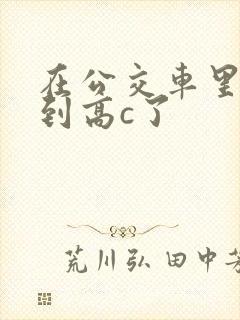 在公交车里c弄到高c了封面