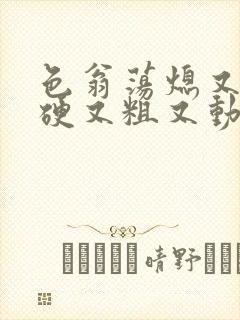 色翁荡熄又大又硬又粗又动态图