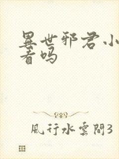 异世邪君小说好看吗封面