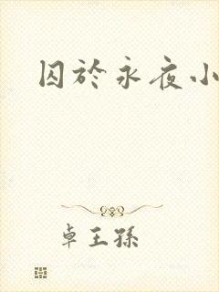 囚于永夜小说封面
