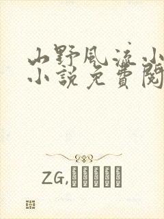 山野风流小神医小说免费阅读