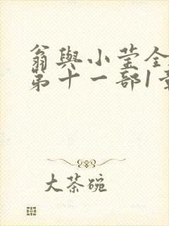 翁与小莹全目录第十一部1章封面