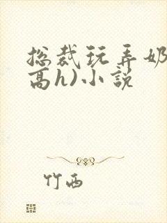 总裁玩弄奶头(高h)小说