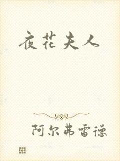 夜花夫人