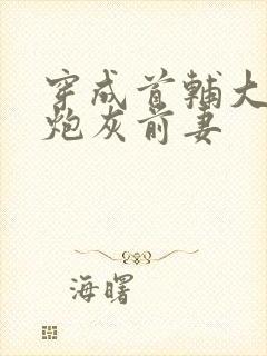 穿成首辅大人的炮灰前妻封面