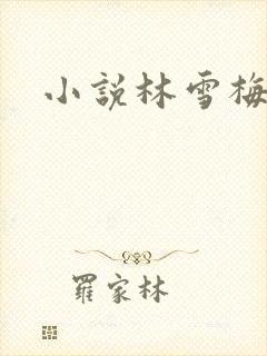 小说林雪梅封面