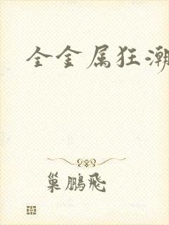 全金属狂潮小说