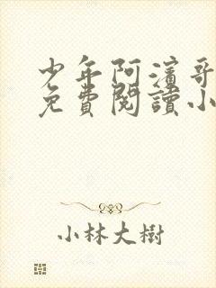 少年阿滨哥全文免费阅读小说封面