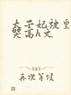 太子妃被皇上c哭高h文封面