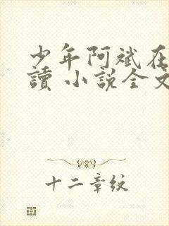 少年阿斌在线阅读 小说全文免费