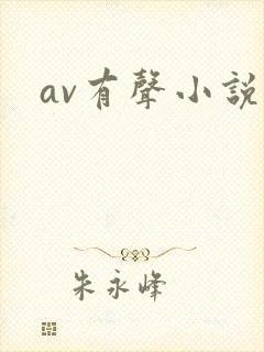 av有声小说