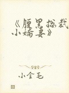 《腹黑总裁独宠小娇妻》