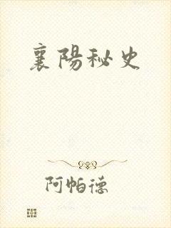 襄阳秘史