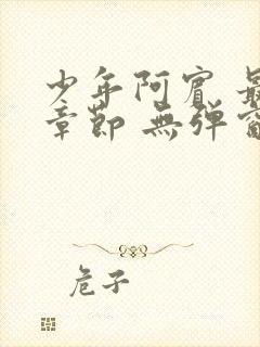 少年阿宾 最新章节 无弹窗封面