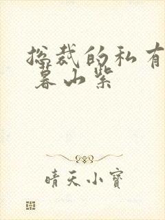 总裁的私有宝贝 暮山紫