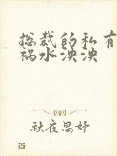 总裁的私有宝贝祸水泱泱封面