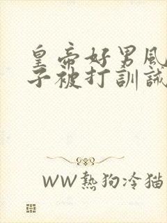 皇帝好男风,太子被打训诫文小说