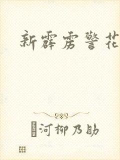 新霹雳警花封面