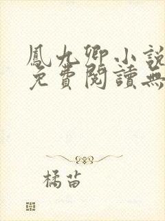 凤九卿小说全文免费阅读无弹窗