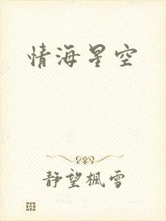 情海星空封面
