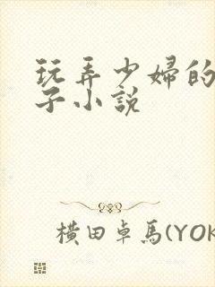 玩弄少妇的大奶子小说