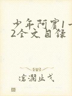 少年阿宾1一72全文目录