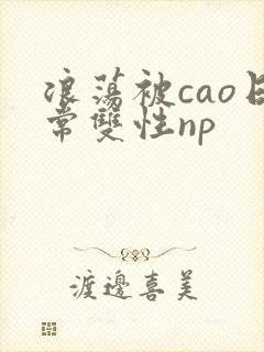 浪荡被cao日常双性np