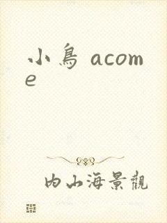 小鸟 acome