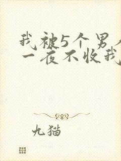 我被5个男人躁一夜不收我怎么办封面