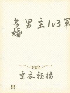 多男主1v3军婚