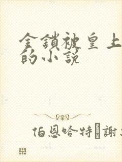 金锁被皇上宠幸的小说