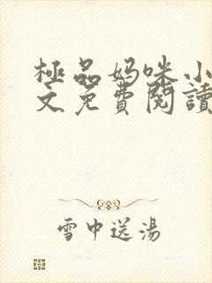 极品妈咪小说全文免费阅读