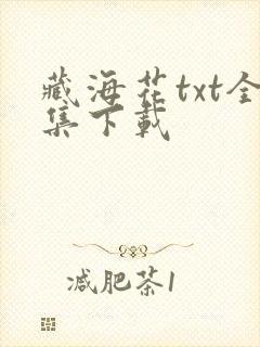 藏海花txt全集下载封面