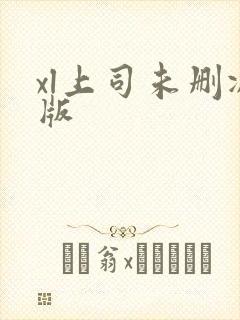 xl上司未删减版