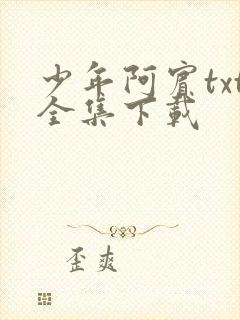 少年阿宾txt全集下载封面