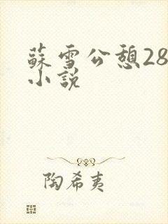 苏雪公憩28篇小说封面